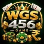 wgs456 game