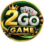 2 Go Game