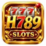 H789 Game